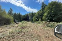 Property for sale in Lewis County, Washington