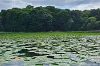 Property for sale in Douglas County, Minnesota