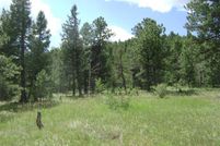 Property for sale in Park County, Colorado