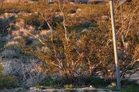 Property for sale in Kern County, California