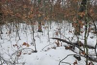 Property for sale in Lake County, Michigan