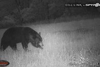 Property for sale in Montgomery County, Kentucky