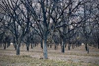 Property for sale in El Paso County, Texas