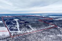 Undeveloped Land for sale in Beltrami County, Minnesota