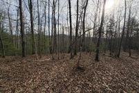 Property for sale in Fannin County, Georgia