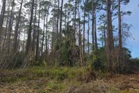 Undeveloped Land for sale in Gulf County, Florida