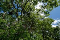 Property for sale in Kaufman County, Texas