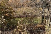 Undeveloped Land for sale in Mississippi County, Arkansas