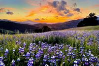 Property for sale in Humboldt County, California