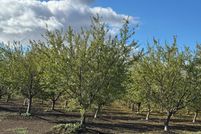 Property for sale in Sutter County, California