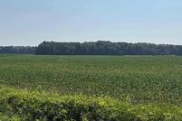 Undeveloped Land for sale in Lenawee County, Michigan