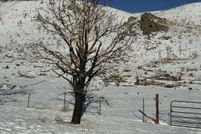 Property for sale in Douglas County, Nevada