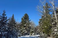 Property for sale in Alpena County, Michigan