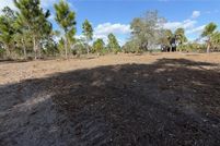 Undeveloped Land for sale in Okeechobee County, Florida