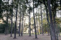 Property for sale in Clay County, Florida