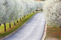 Property for sale in Habersham County, Georgia