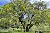 Property for sale in Humboldt County, California