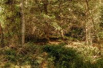 Property for sale in Wolfe County, Kentucky