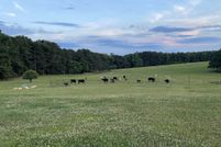 Undeveloped Land for sale in Meriwether County, Georgia