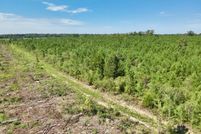 Property for sale in Geneva County, Alabama