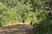 Property for sale in Geneva County, Alabama