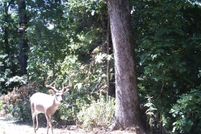 Property for sale in Benton County, Arkansas