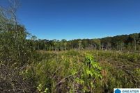 Property for sale in Randolph County, Alabama