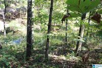 Property for sale in Shelby County, Alabama