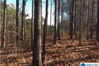 Property for sale in Shelby County, Alabama