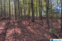 Lakefront Property for sale in Randolph County, Alabama