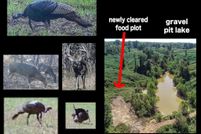 Lakefront Property for sale in Tallahatchie County, Mississippi