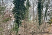 Undeveloped Land for sale in Franklin County, Virginia