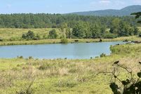 Undeveloped Land for sale in Montgomery County, Arkansas