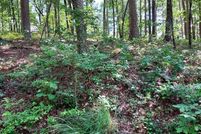 Undeveloped Land for sale in Saline County, Arkansas