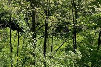 Property for sale in Magoffin County, Kentucky