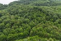 Property for sale in Jefferson County, Tennessee