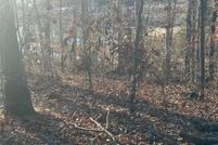 Undeveloped Land for sale in Williamson County, Illinois