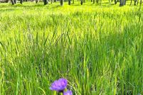 Property for sale in Tuolumne County, California