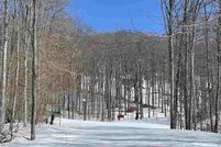 Property for sale in Emmet County, Michigan