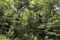 Undeveloped Land for sale in Marquette County, Michigan