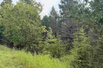 Undeveloped Land for sale in Delta County, Michigan