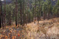 Property for sale in Larimer County, Colorado