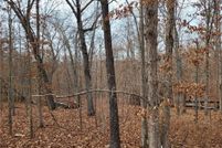 Undeveloped Land for sale in Benton County, Missouri