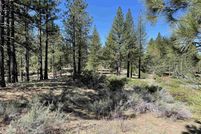 Property for sale in Plumas County, California