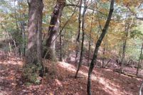 Property for sale in Carroll County, Arkansas