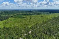 Farm Property for sale in Wayne County, Georgia