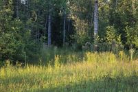 Undeveloped Land for sale in Chippewa County, Michigan