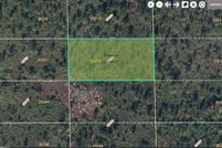 Undeveloped Land for sale in Orange County, Florida
