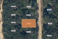 Undeveloped Land for sale in Putnam County, Florida