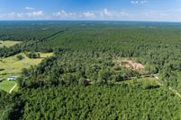 Undeveloped Land for sale in Polk County, Texas